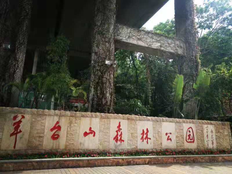 领航集团2019年深圳羊台山之行